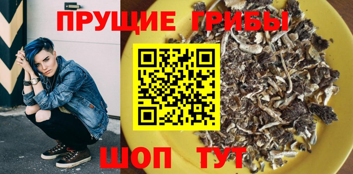 Псилоцибиновые грибы Cubensis Урюпинск