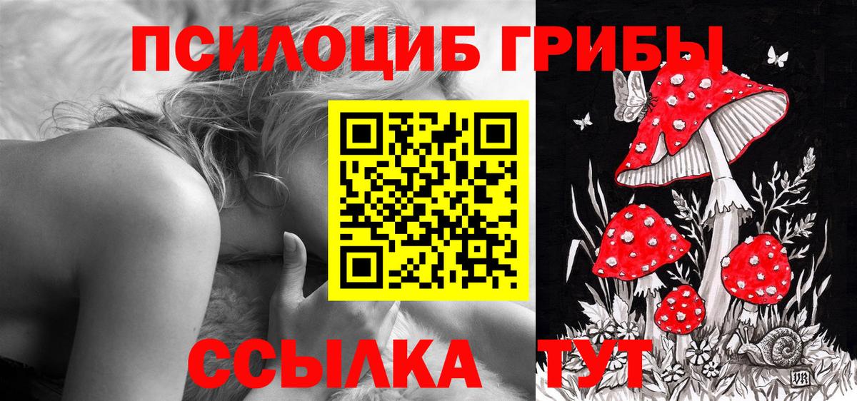APVP Урюпинск