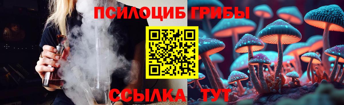 Урюпинск  Галлюциногенные грибы мицелий  Вход с VPN 